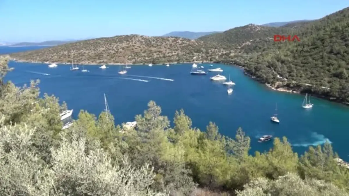 Bodrum Şarkılı, Türkülü, Halaylı Sit Protestosu