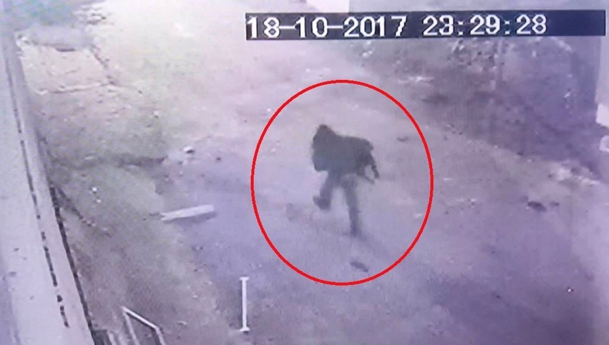 Çalınan Köpeğini Bulana Para Ödülü Verecek