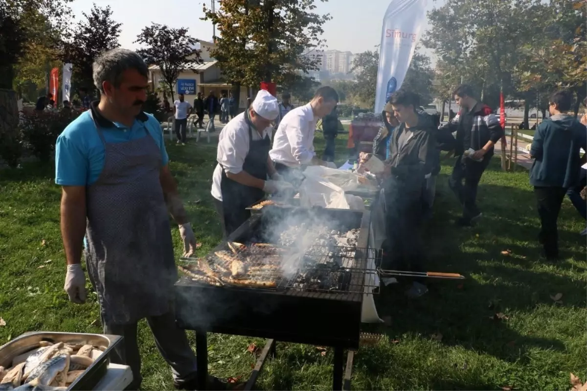 Eyüp\'ün Kamp-Ka\'ları Piknikte Buluştu