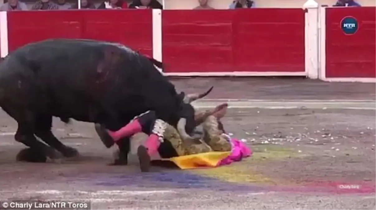 Meksika\'da Boğa Güreşinde Ağır Yaralanan Matador, Arenaya Dönüp Boğayı Öldürdü