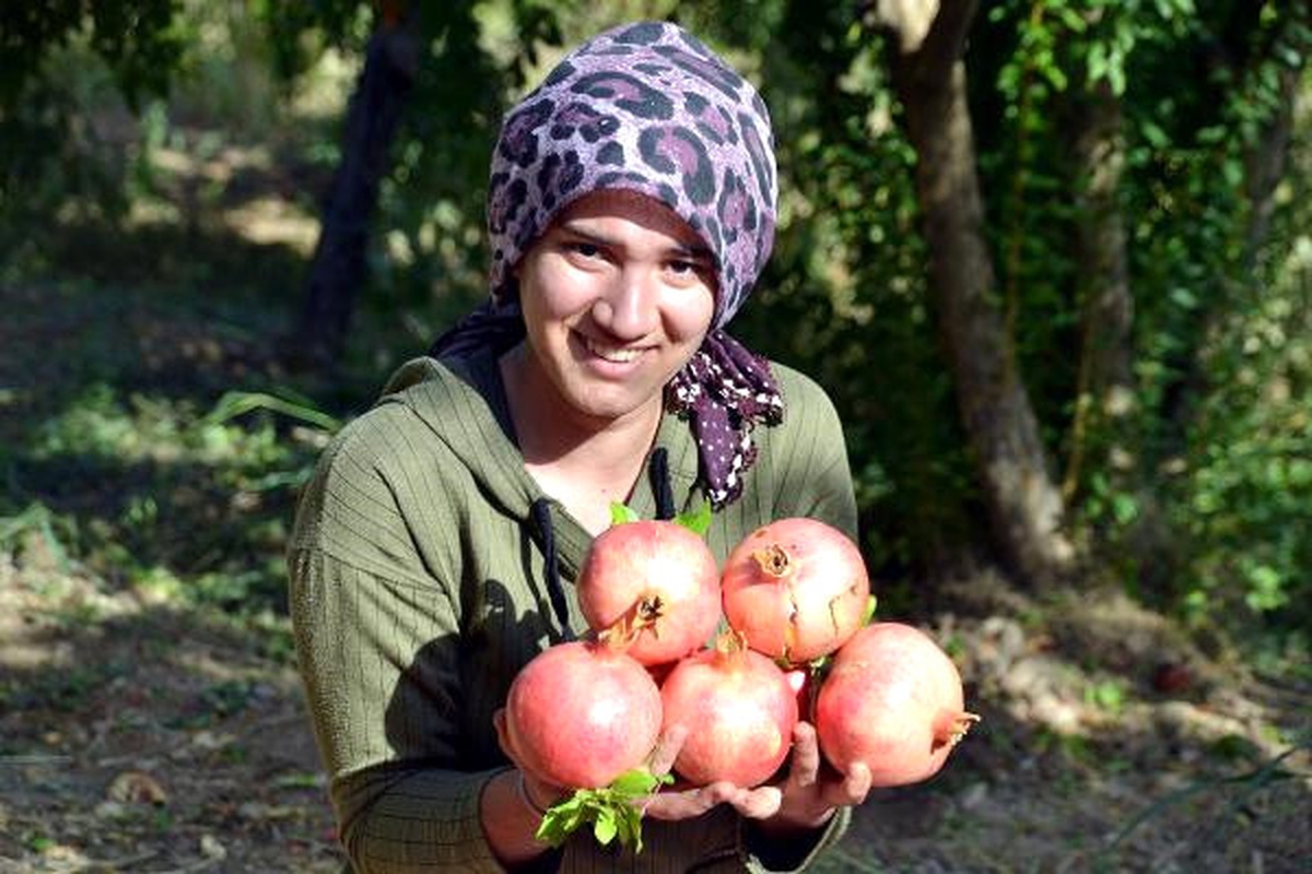 Zivzik Narı\' Üreticinin Yüzünü Güldürdü