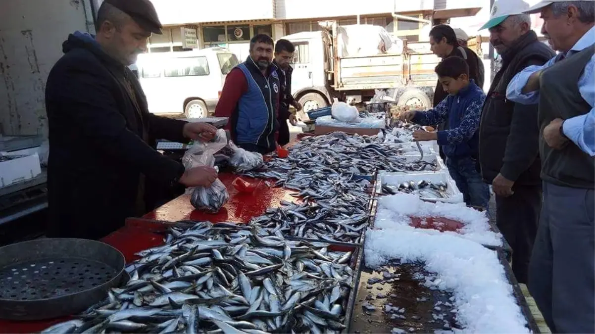 Balık Fiyatları Düşüşe Geçti