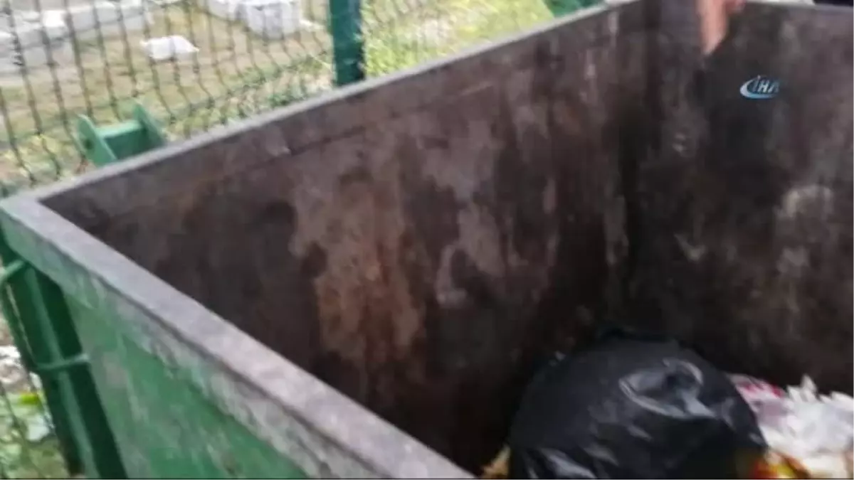 Çöp Konteynerinden Gelen Ses Polisi Alarma Geçirdi