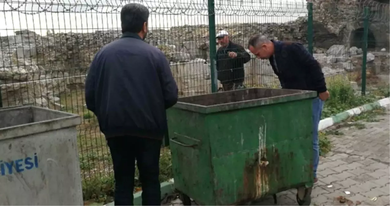 Çöp Konteynerinden Çıkan Ses, Polisi Alarma Geçirdi Ama Sonuca Herkes Güldü!