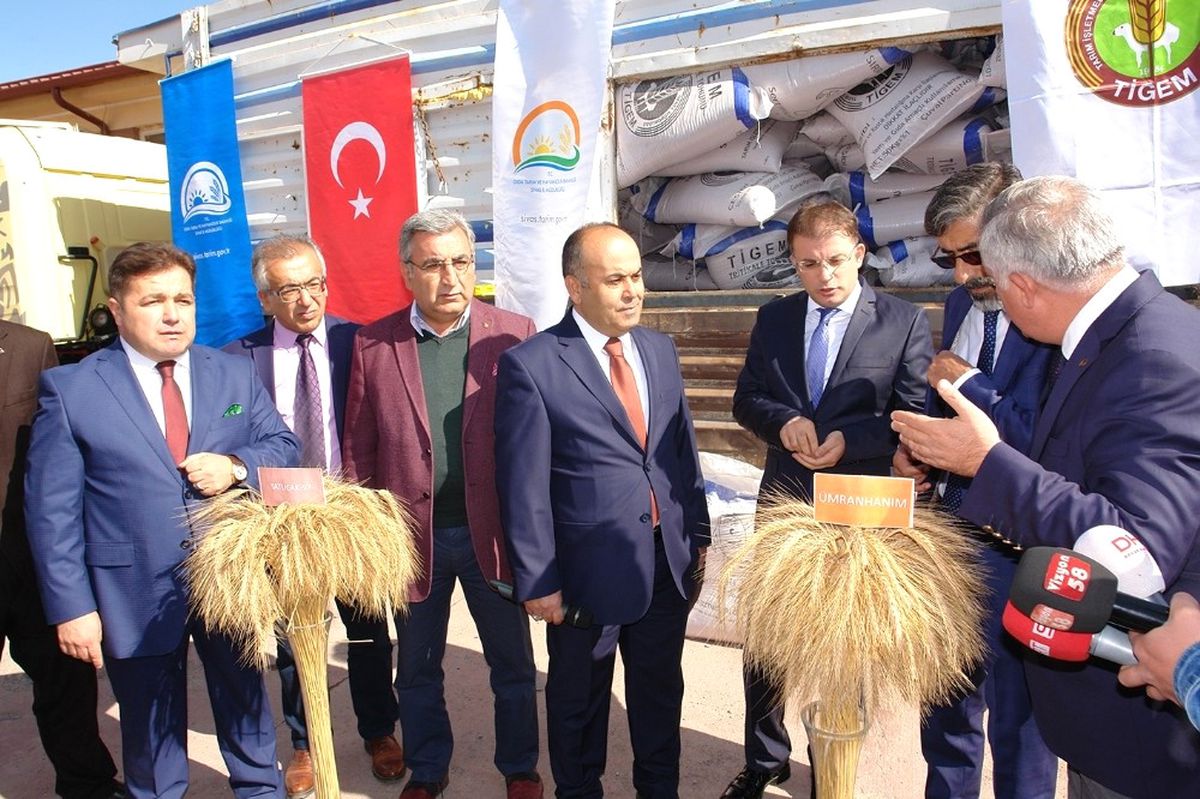 Dap İdaresi\'nin Desteğiyle 300 Ton Yem Bitkisi Tohumu Dağıtıldı