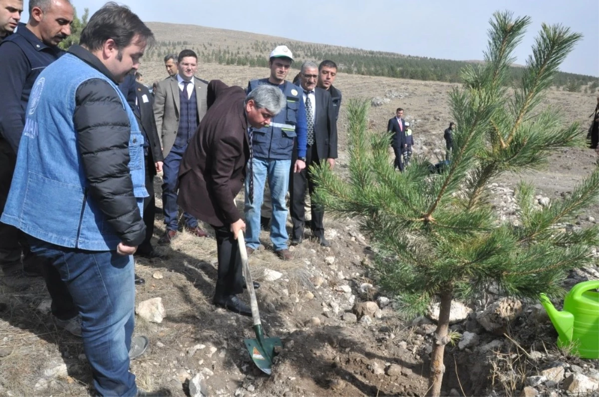 Kars Emniyeti 500 Fidanı Toprakla Buluşturdu