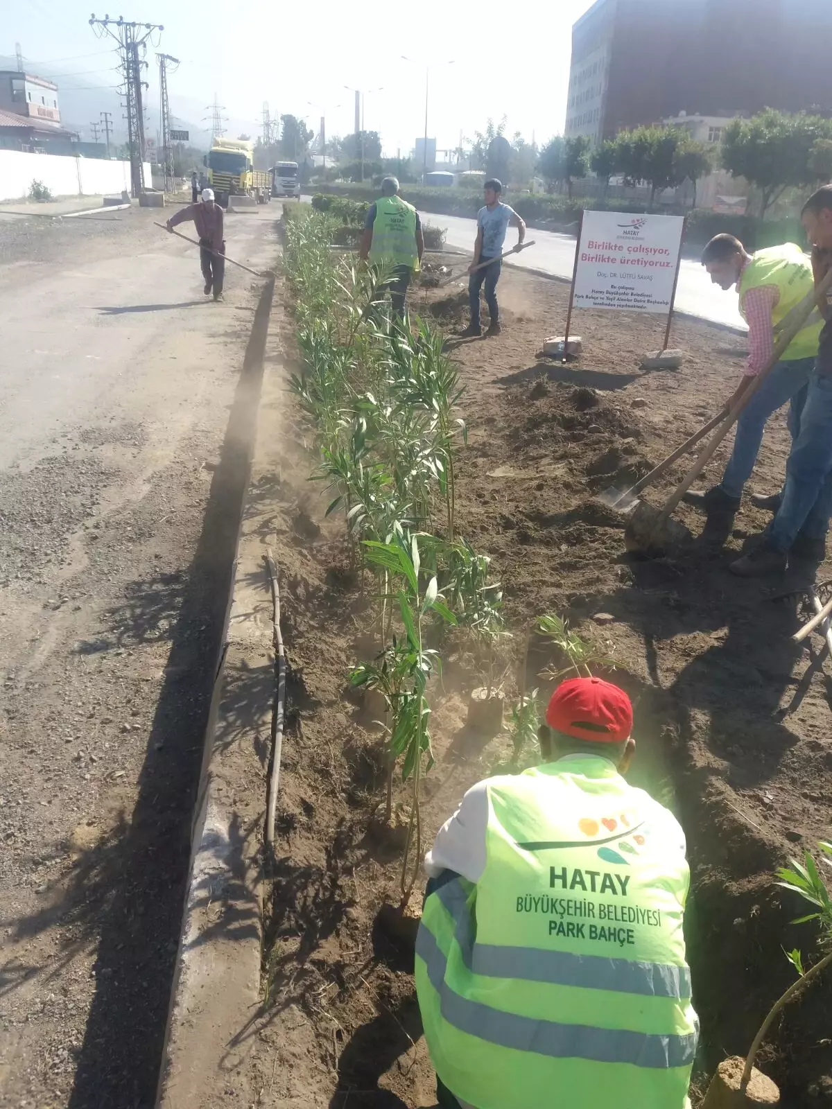 Orta Refüjlerde Bitkilendirme Çalışmaları Devam Ediyor