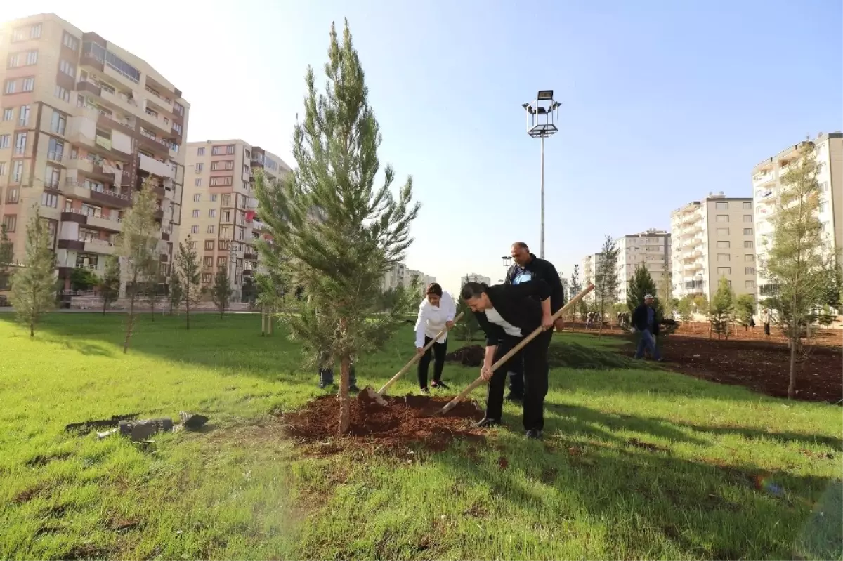 Başkan Akat Ağaç Dikimine Katıldı