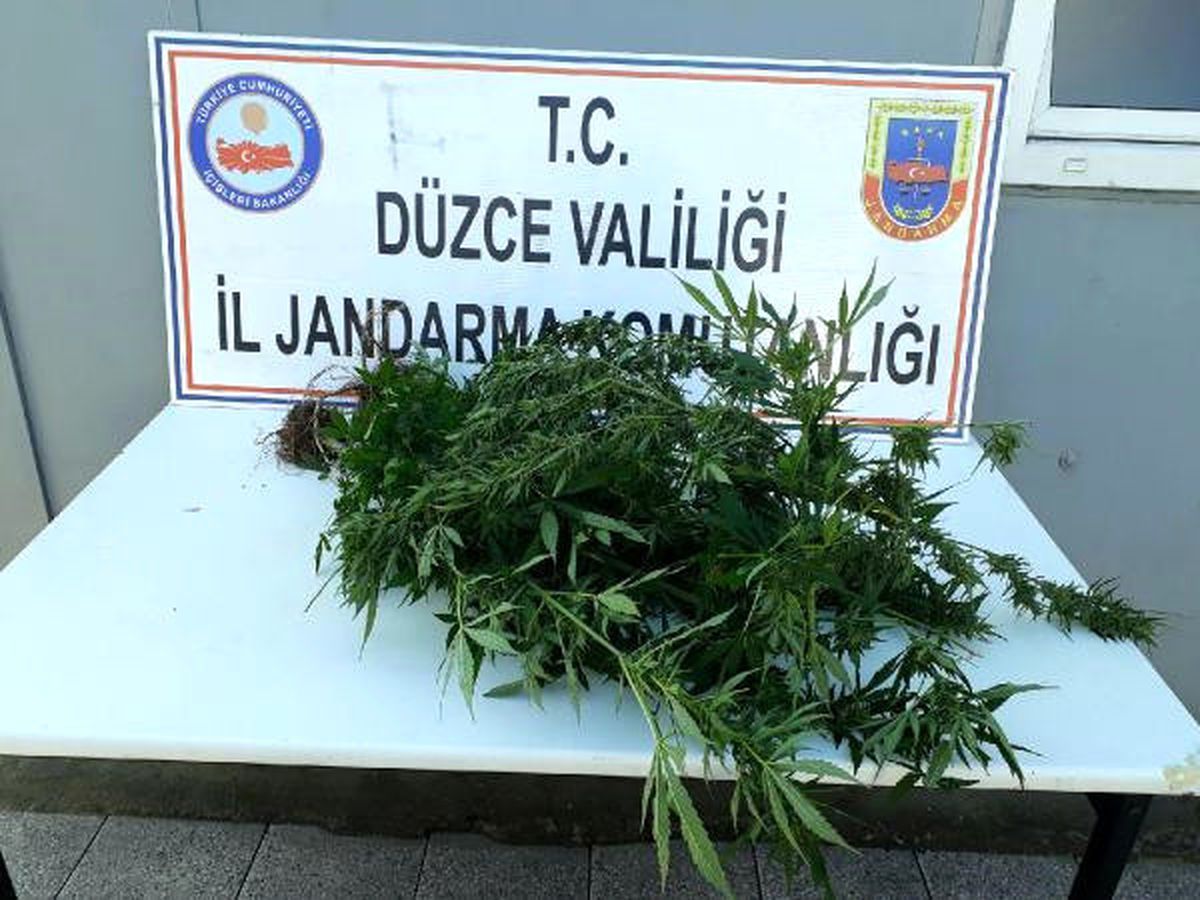 Düzce\'de Uyuşturucuya 1 Gözaltı
