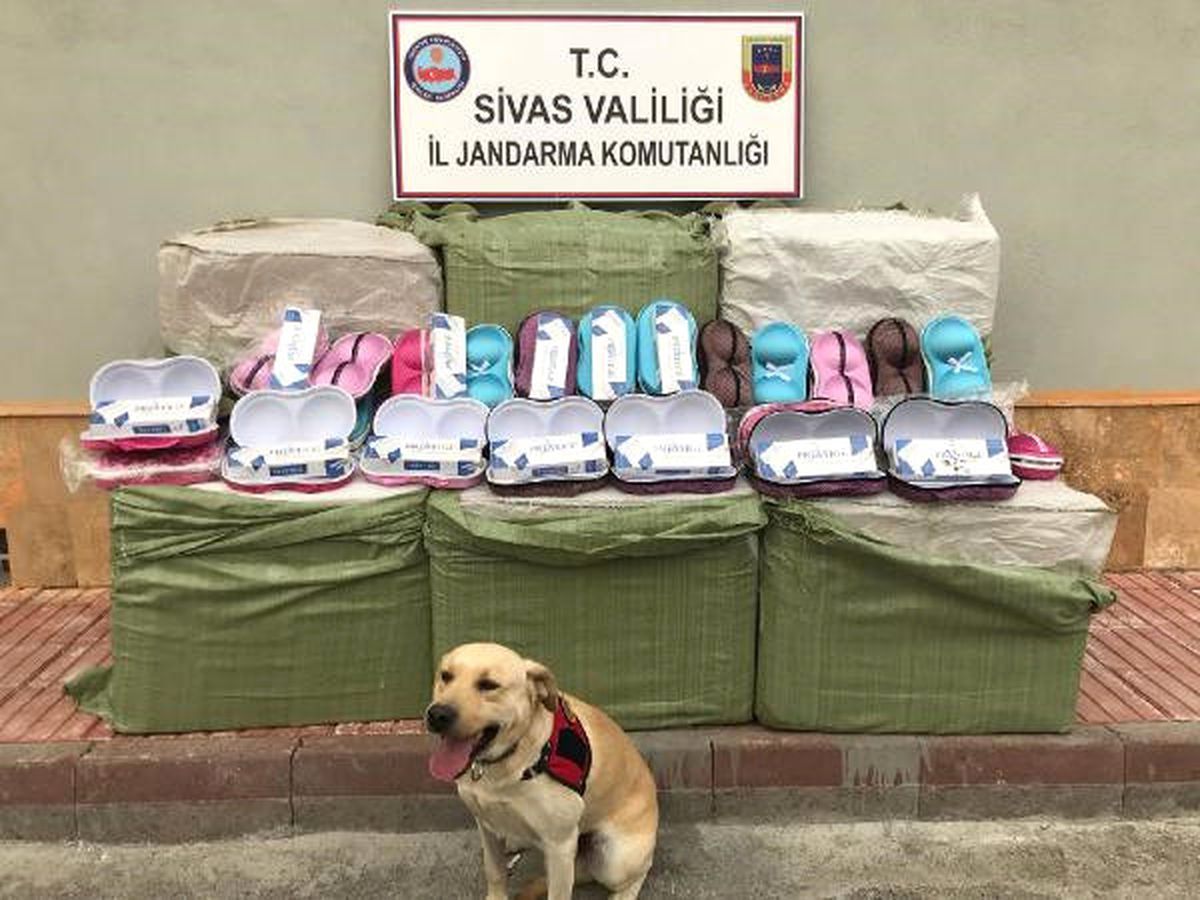 Kamyondaki Sütyen Kutularından Kaçak Sigara Çıktı