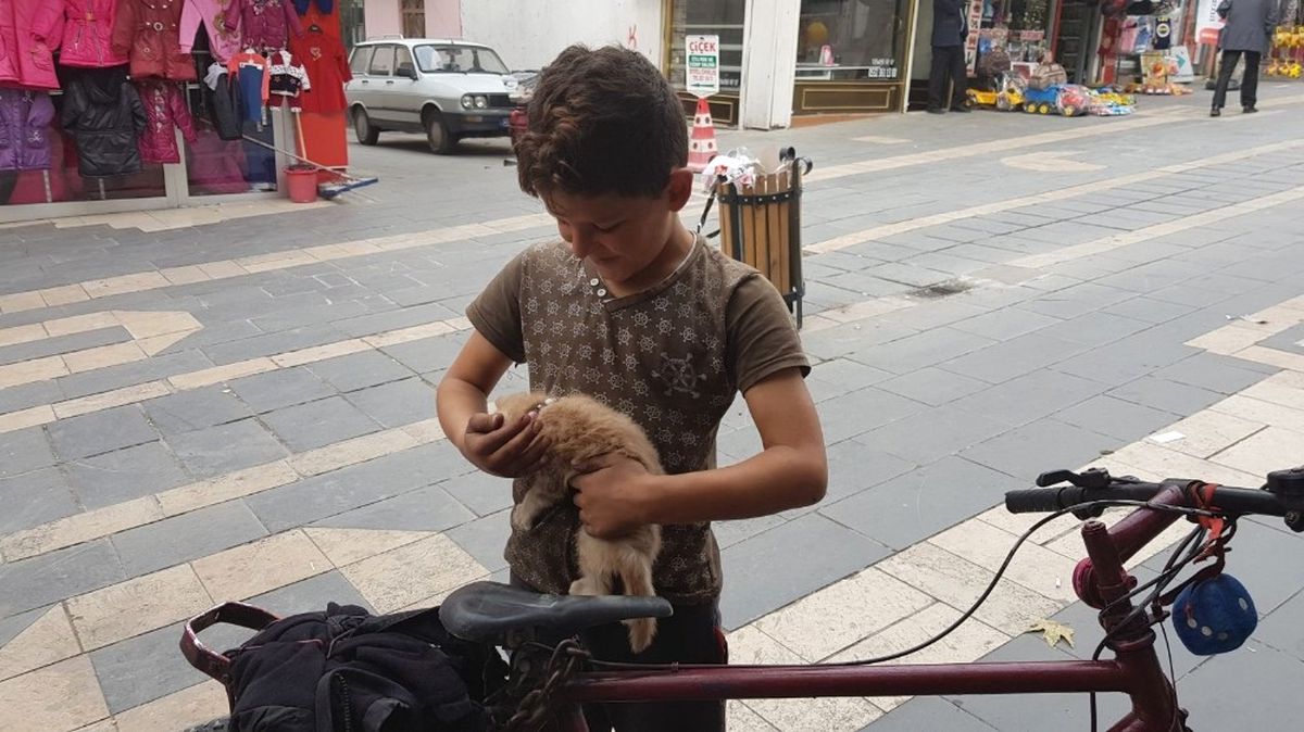 Suriyeli Musa\'nın Hayvan Sevgisi Görenleri Hayran Bırakıyor