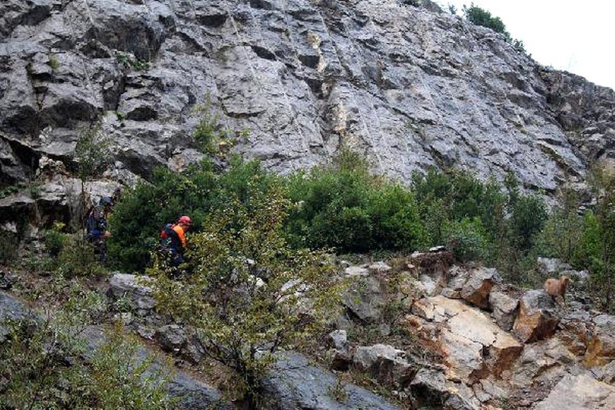 Afad, Kayalıklarda Mahsur Kalan Keçiyi Kurtardı