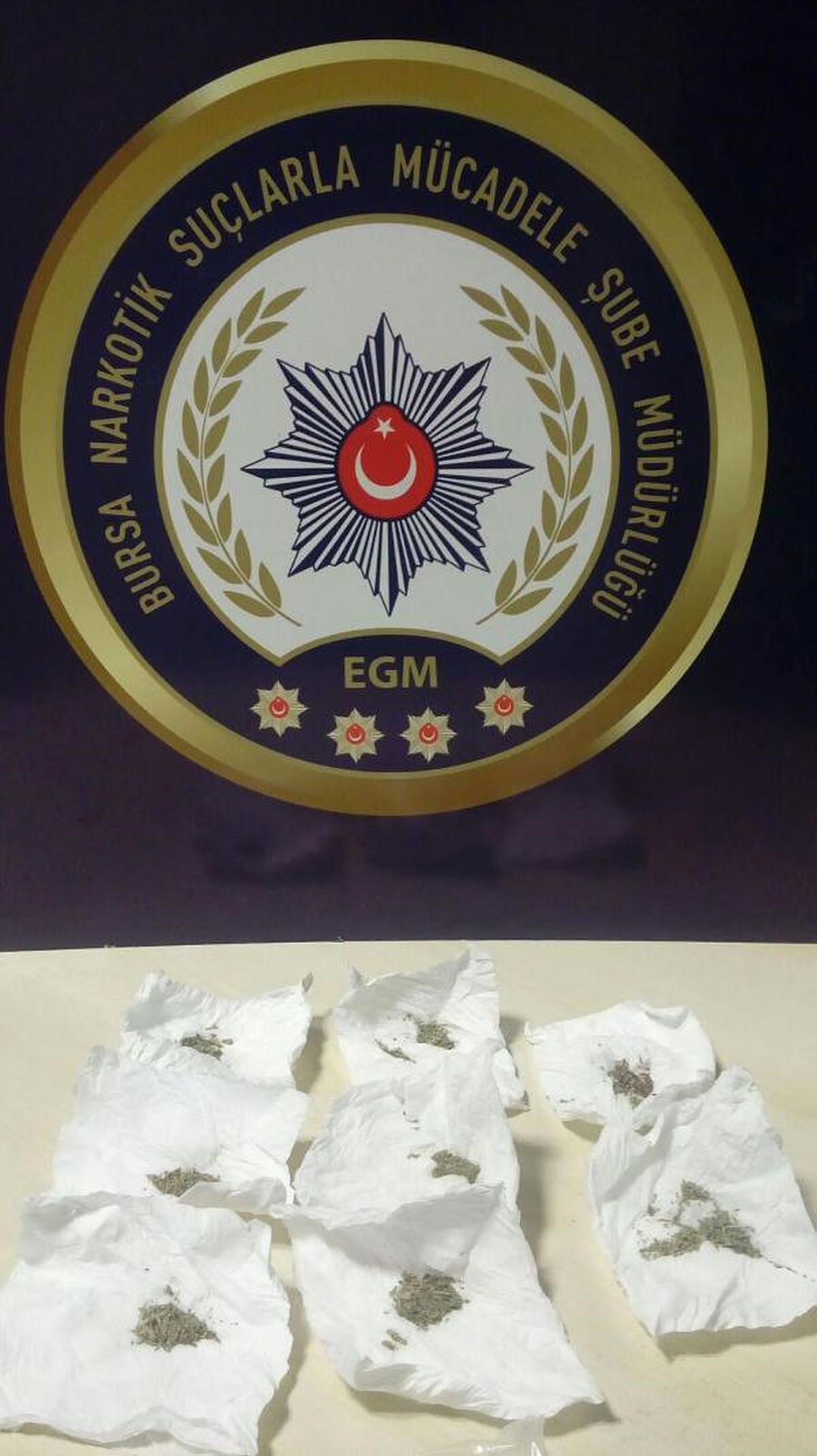 Bursa\'da Hattı Sayesinde 10 Zehir Taciri Yakalandı