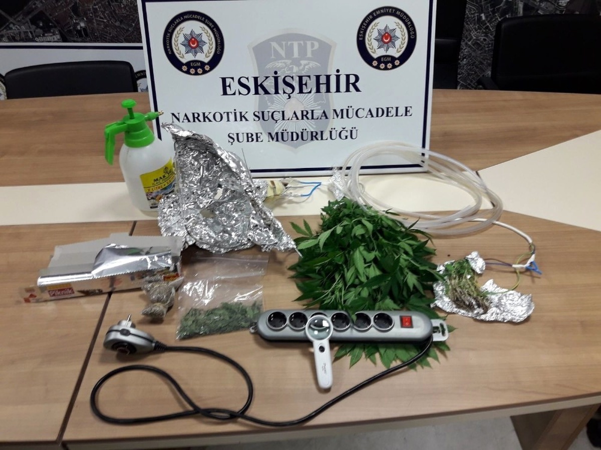 Çiçek Saksılarına Ekilmiş 88 Kök Hint Keneviri Bulundu