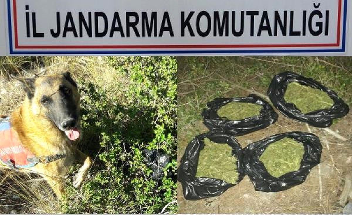 Denizli\'de Uyuşturucu Operasyonuna 3 Tutuklama