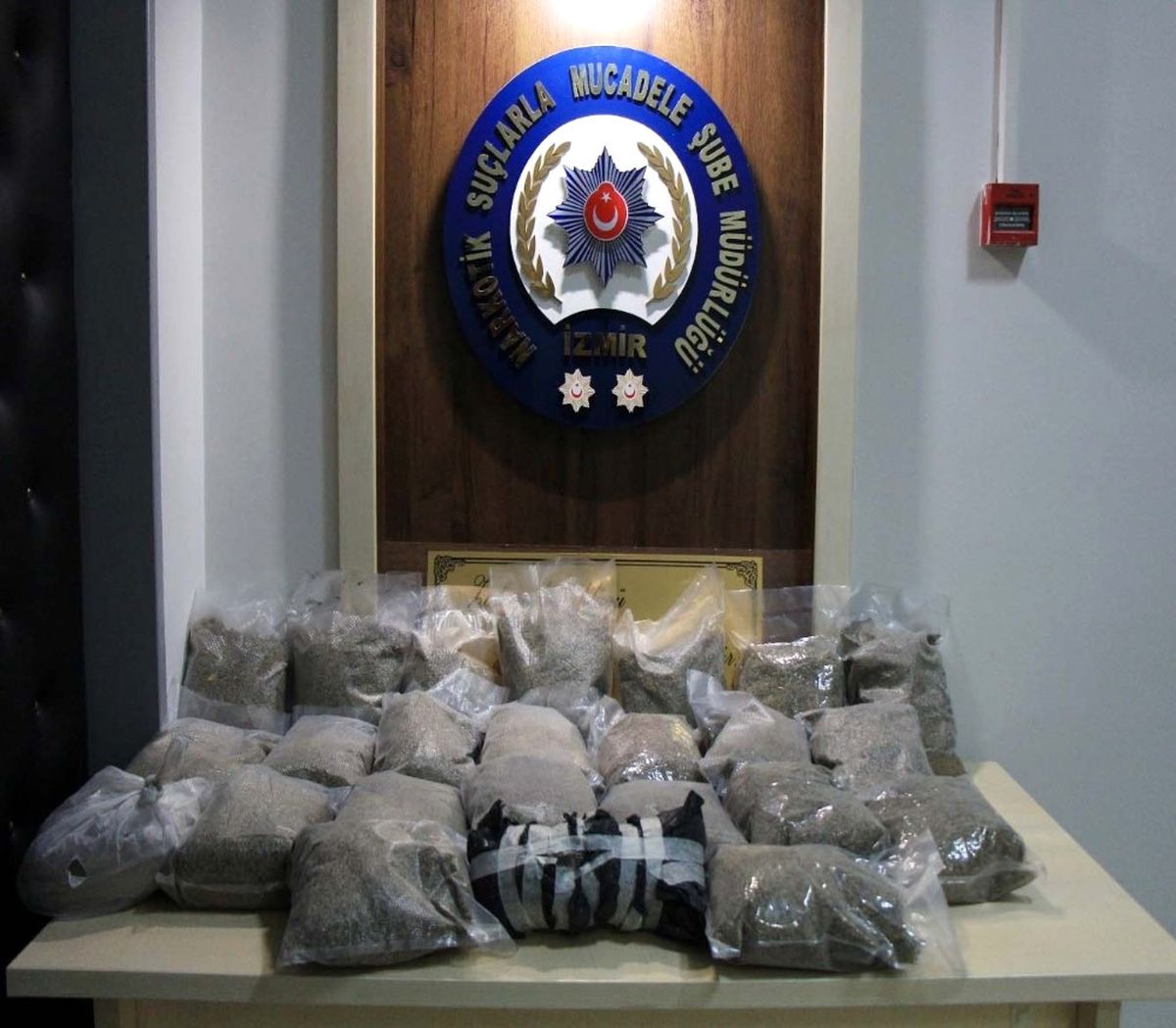 İzmir\'de 13 Kilo Bonzai Ele Geçirildi