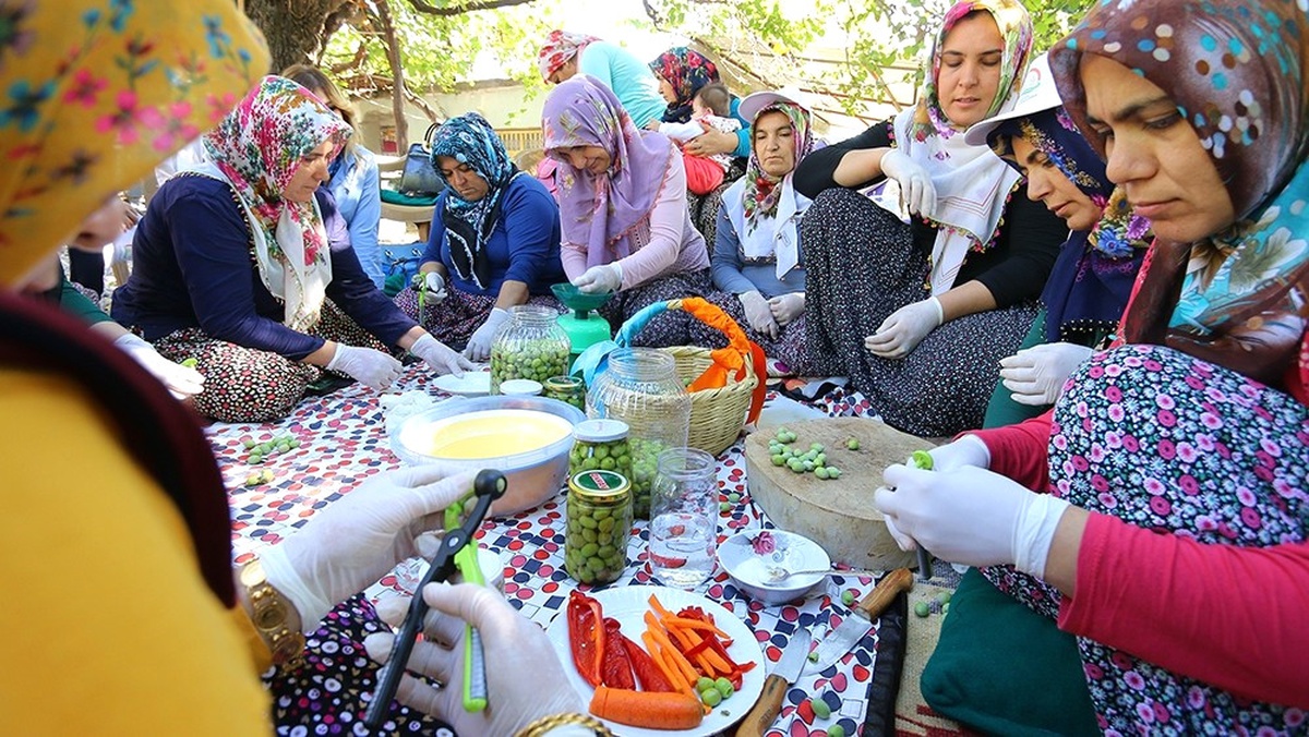 Osmaniye\'de Kadınlara Zeytin İşleme Kursu