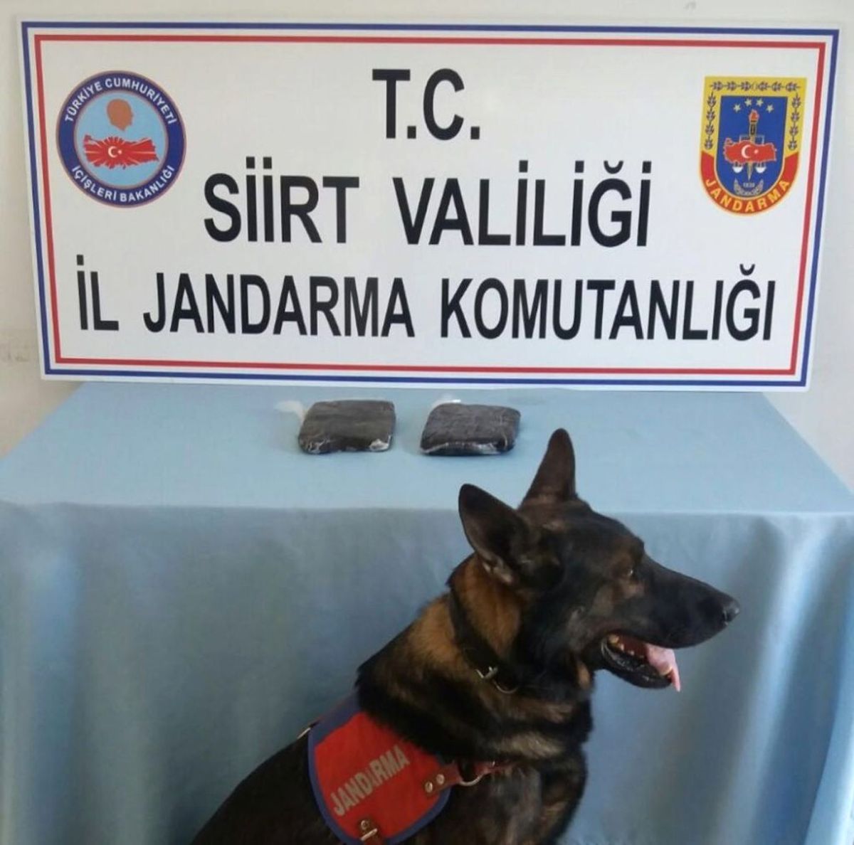 55 Yasadışı Göçmen Yakalandı