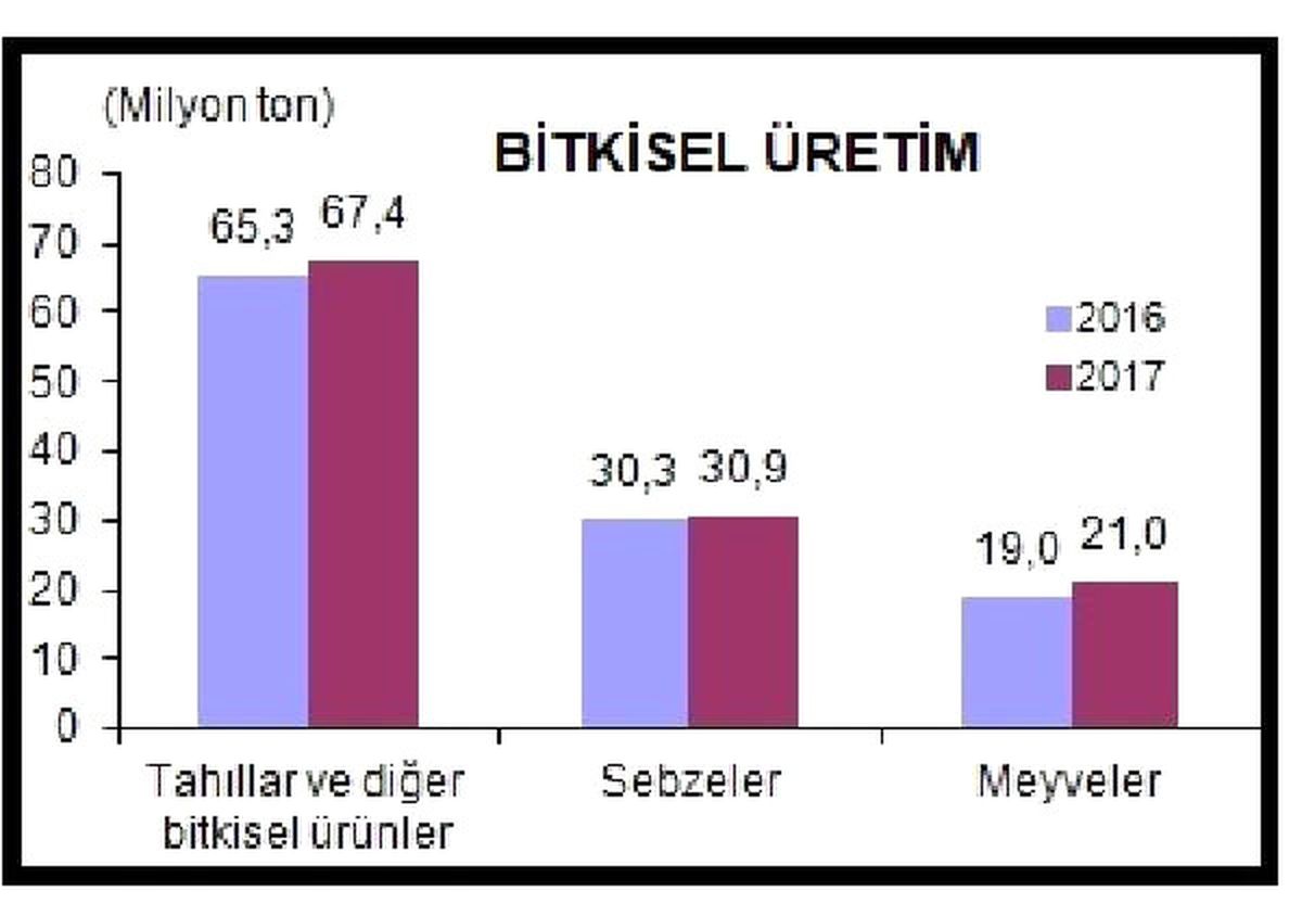 Bitkisel Üretim Yüzde 4.6 Artışla 120 Milyon Tona Dayandı