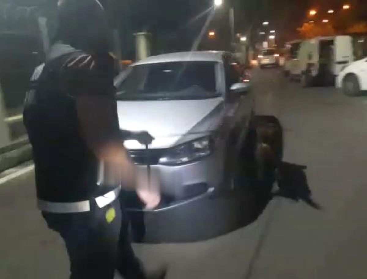 Gres Yağlı Kamuflaj, İşe Yaramadı