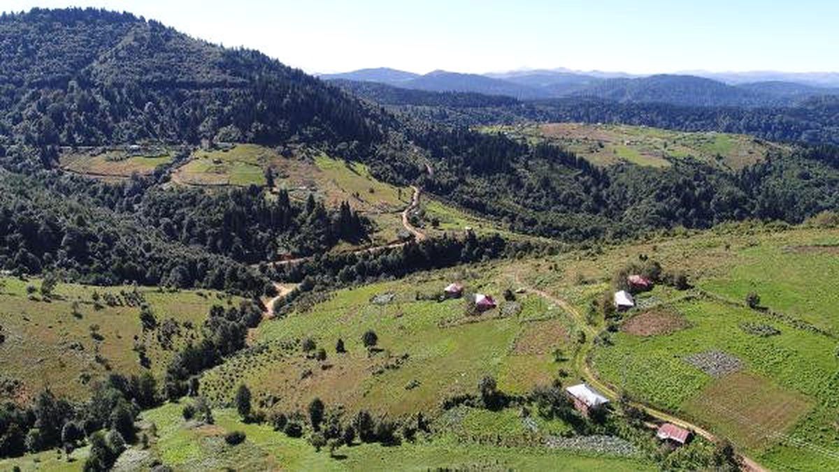 Ordu\'da Cuma Hutbesi Sonrası \'Yayla Evlerinde Erzak Bırakmayın\' Uyarısı