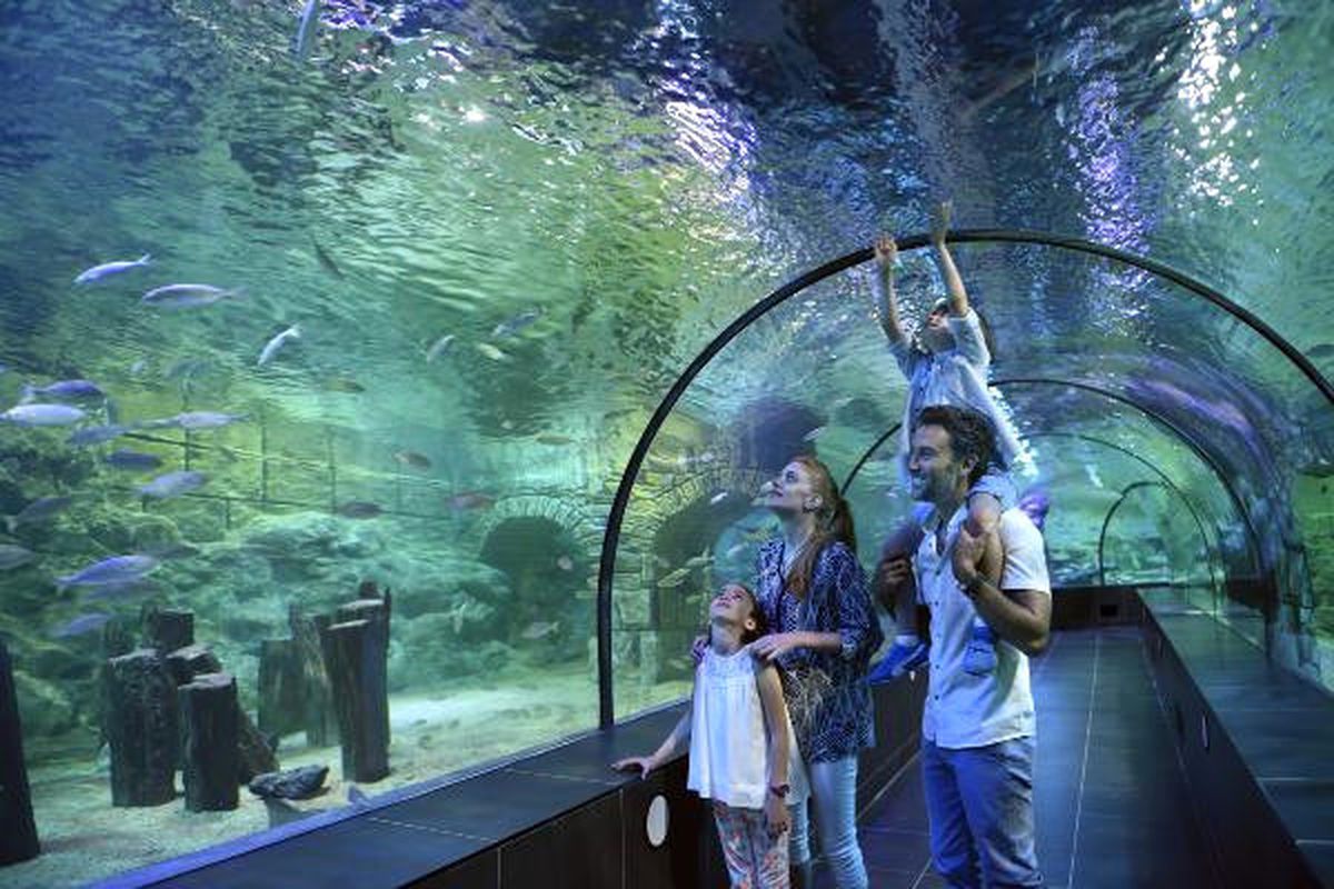 Viasea Akvaryum 29 Ekim\'de Çocuklara Ücretsiz