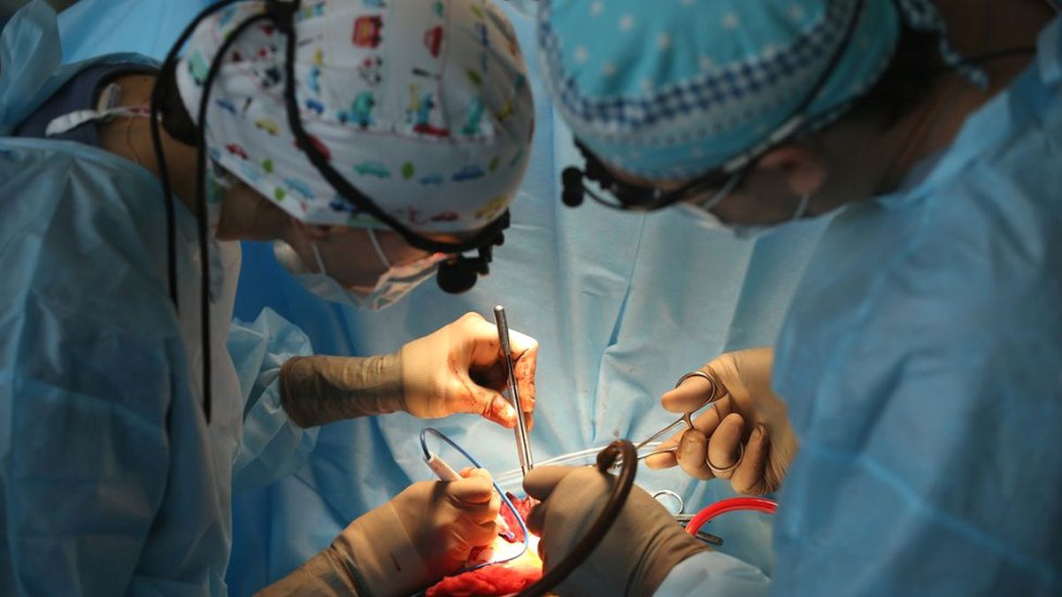 Vücut Saati \'Başarılı Kalp Ameliyatını Etkiliyor\'