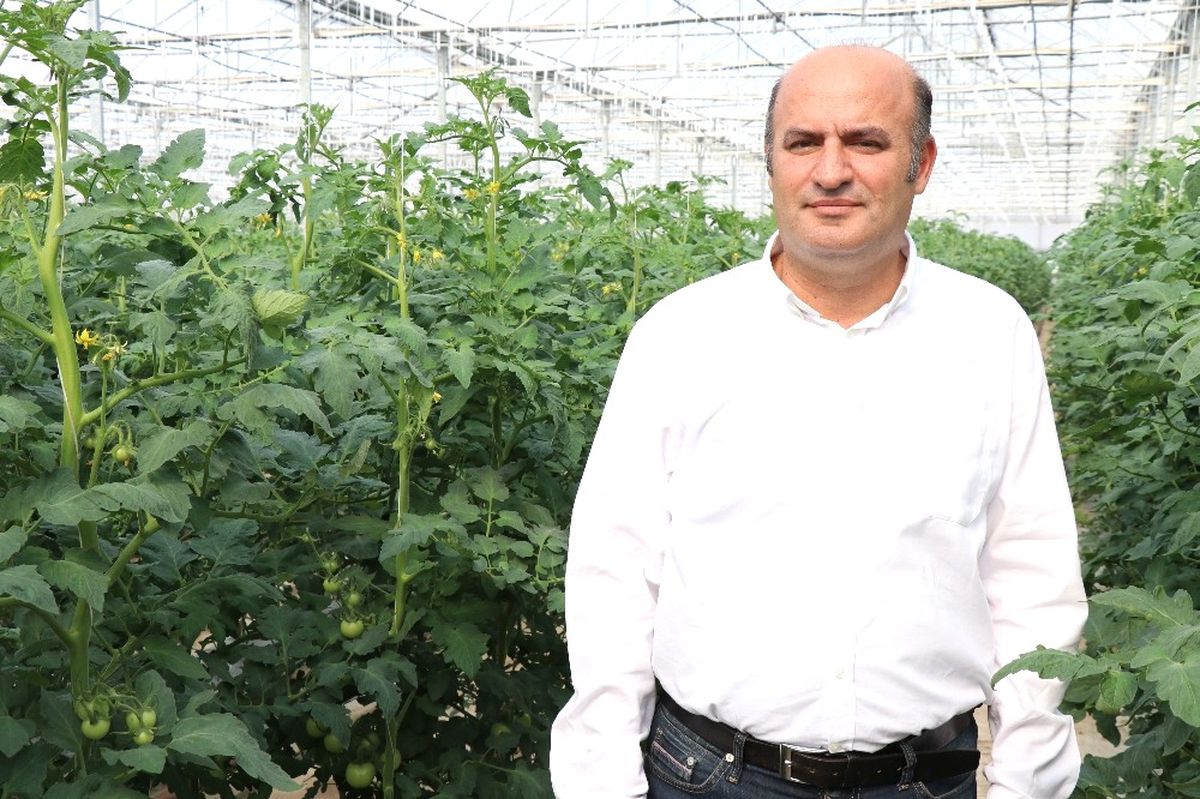 Domateste Firma Kısıtlaması Diğer Ürünlere de Sıçrayabilir
