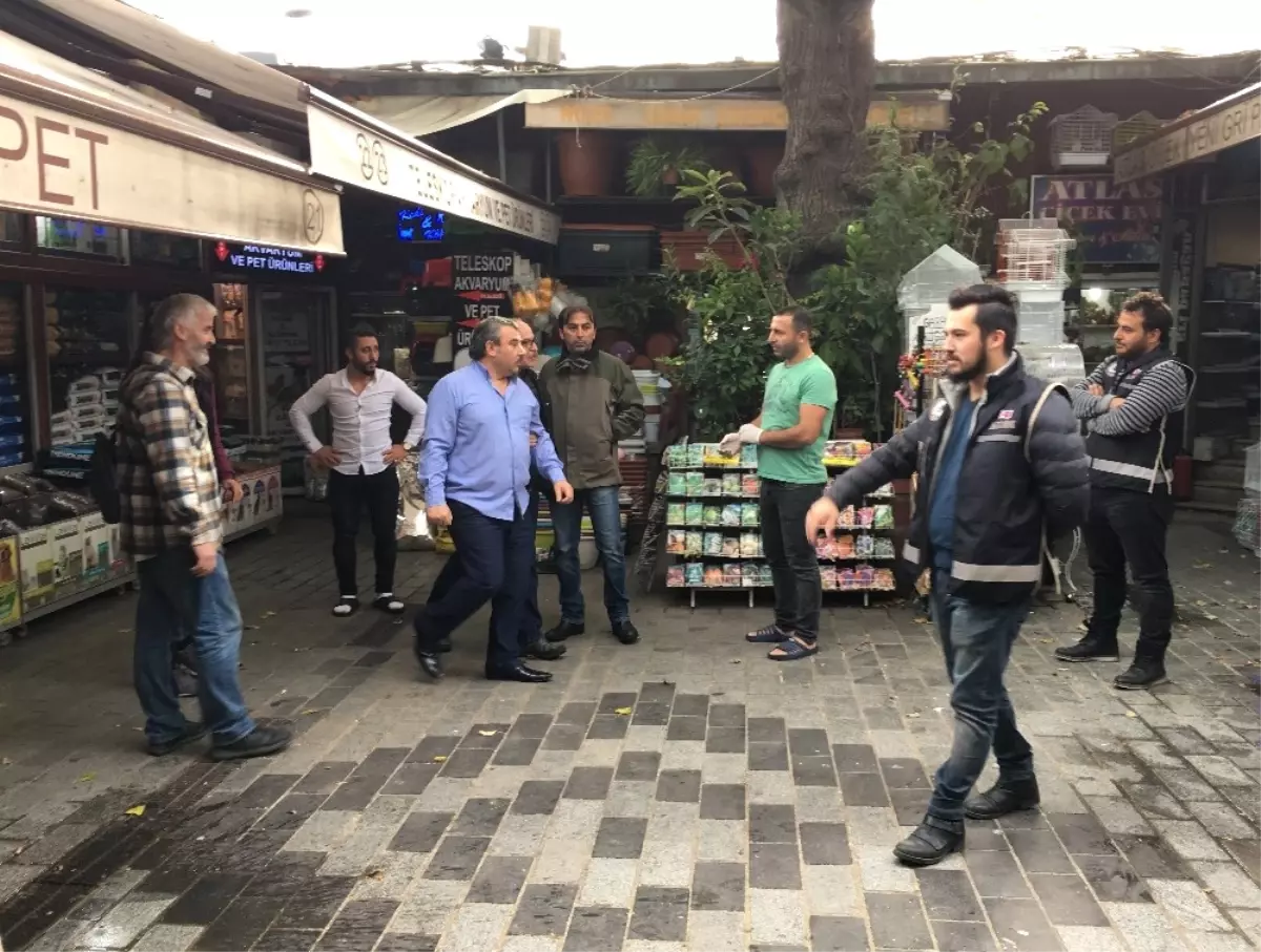 Eminönü\'nde Petshoplara Şok Baskın