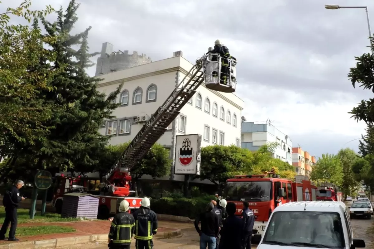 Günısıdan Çıkan Buhar, Paniğe Sebep Oldu