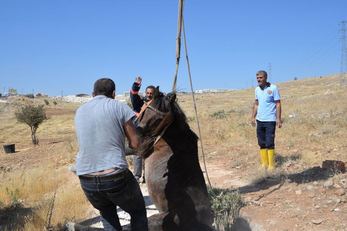 Midyat İtfaiyesi 3 Ayda 35 Hayvanı Kurtardı