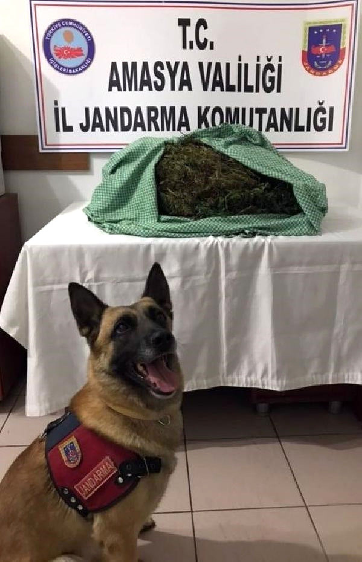 Narkotik Köpeği \'Atak\' 9 Kilo Esrar Buldu