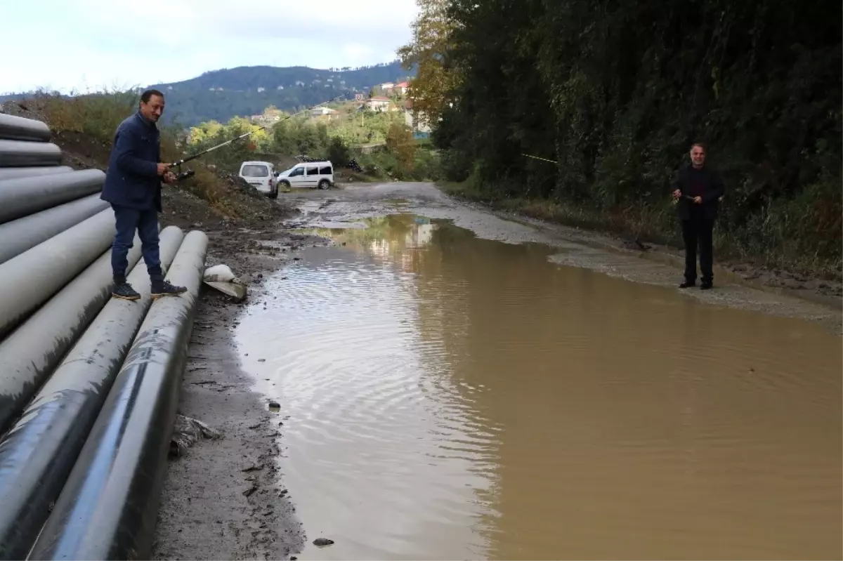 Olta ile Yol Protestosu