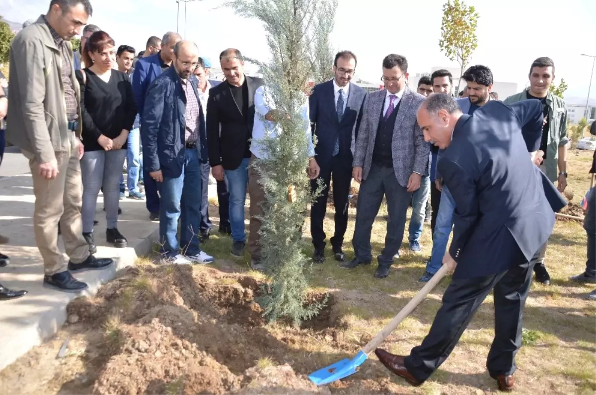 Şırnak\'ta Protokol Üyeleri ve Vatandaşlar Fidan Dikti