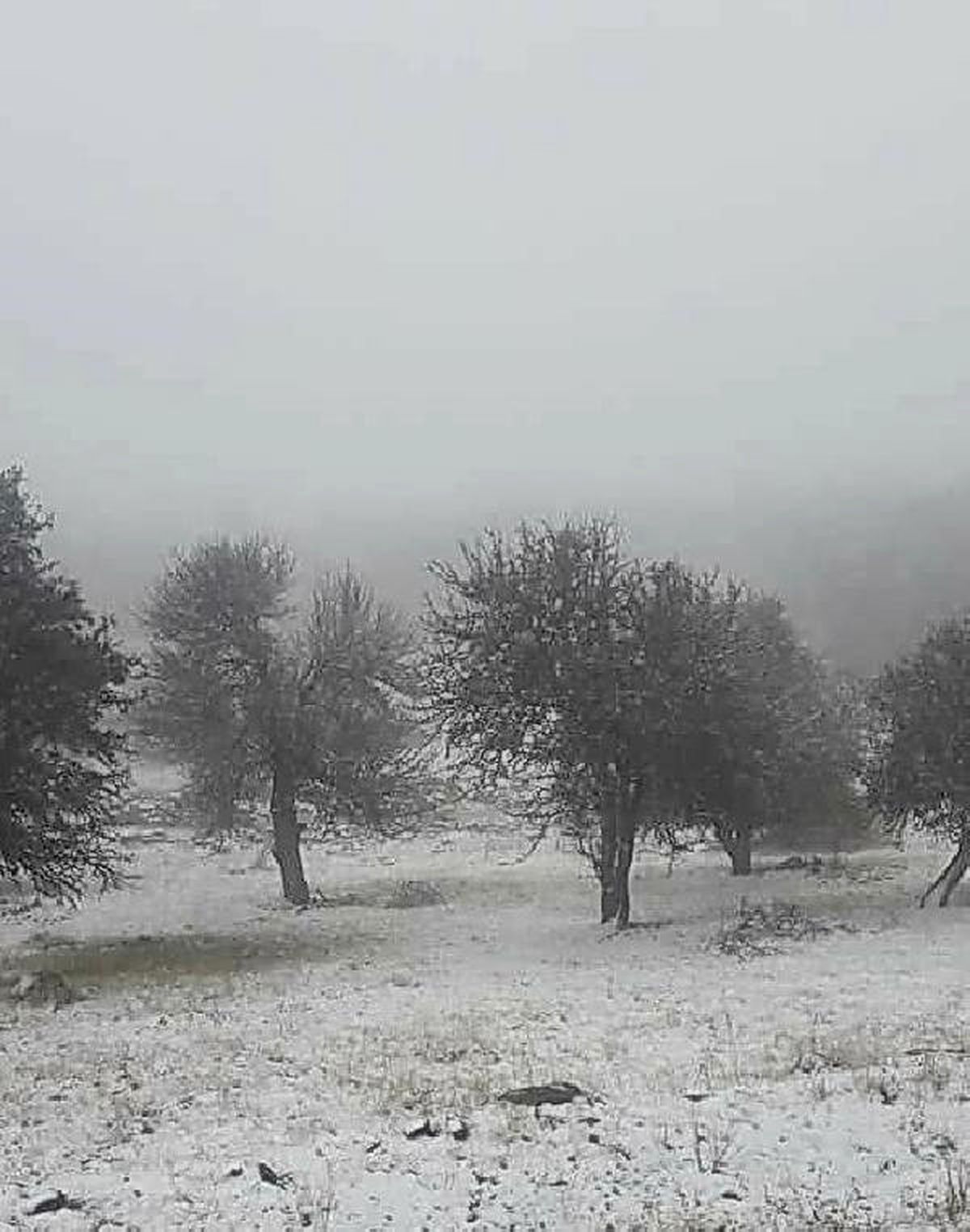 Ankara\'ya Mevsimin İlk Karı Yağdı (2)