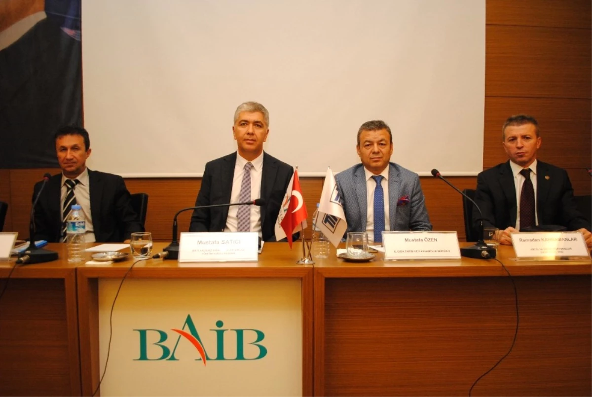Baib Başkanı Mustafa Satıcı: " Yaş Sebze Meyve Üretim ve İhracatında Yoğun Bir Döneme Giriyoruz"