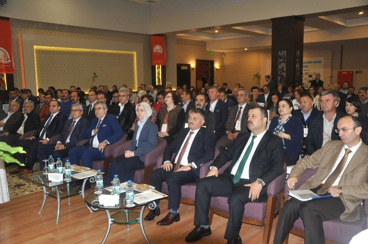 Türkiye 15 Milyon Ceviz Ağacından 200 Bin Tonu Aşkın Ceviz Elde Ediyor