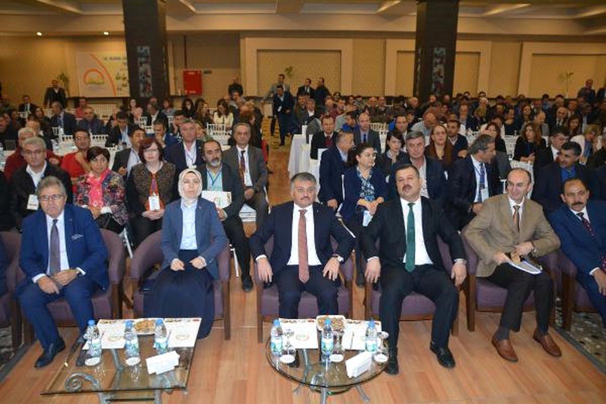 Ulusal Ceviz Çalışma Grubu Bandırma\'da Toplandı