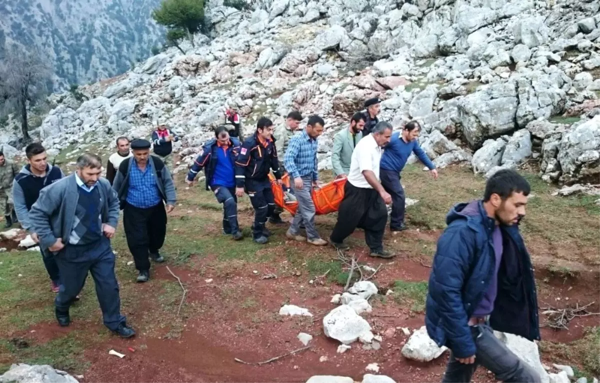 Keçi Otlatırken Kayalıklardan Düştü