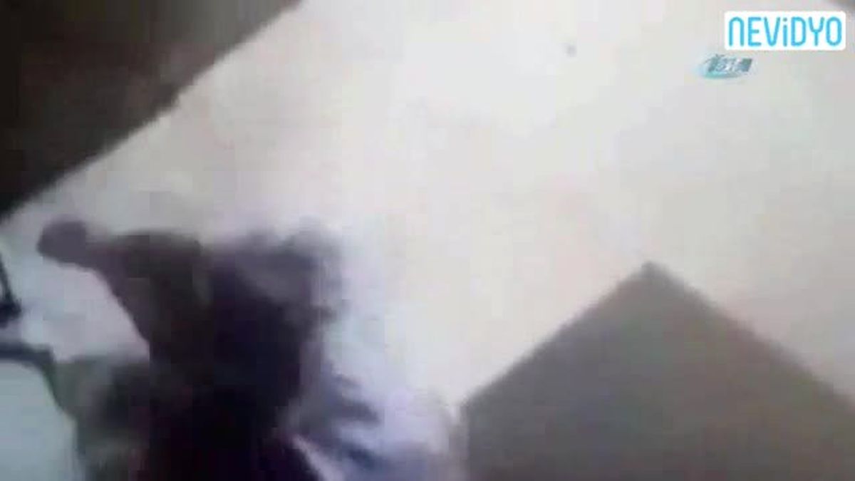 Öfkeli Kedi Adama Böyle Saldırdı