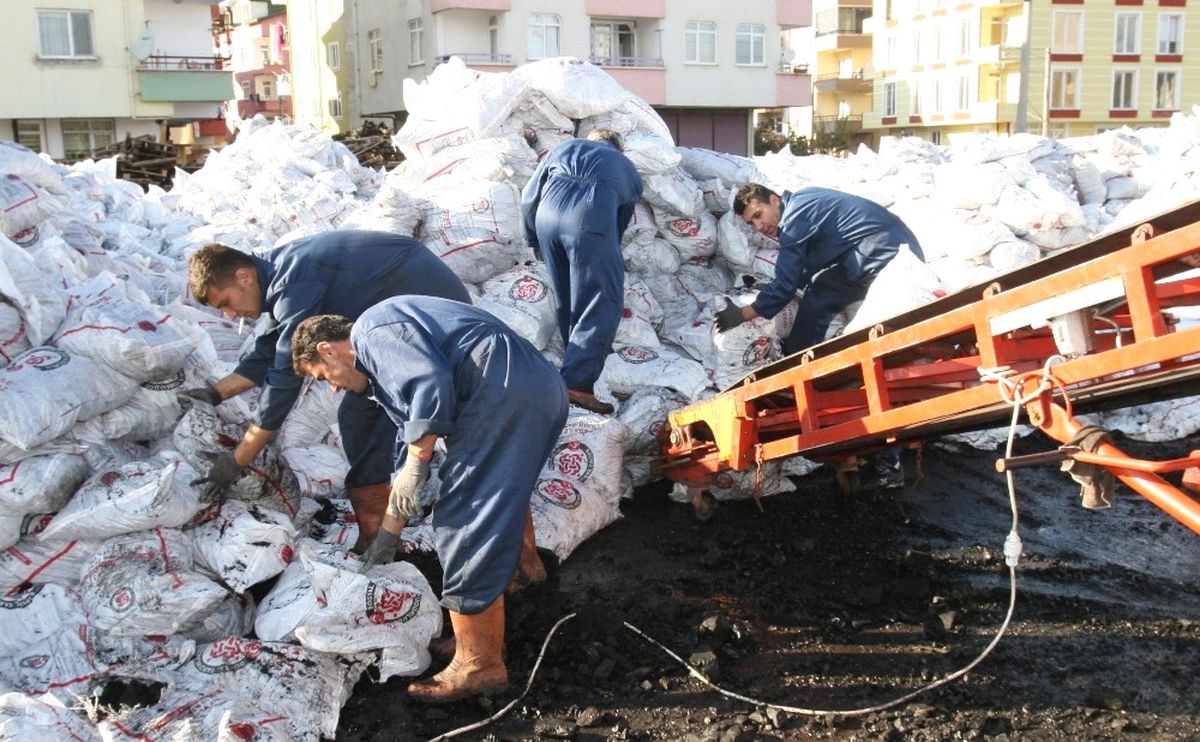 Ordu\'da Bu Yıl 31 Bin Aileye 40 Bin Ton Kömür Dağıtılacak