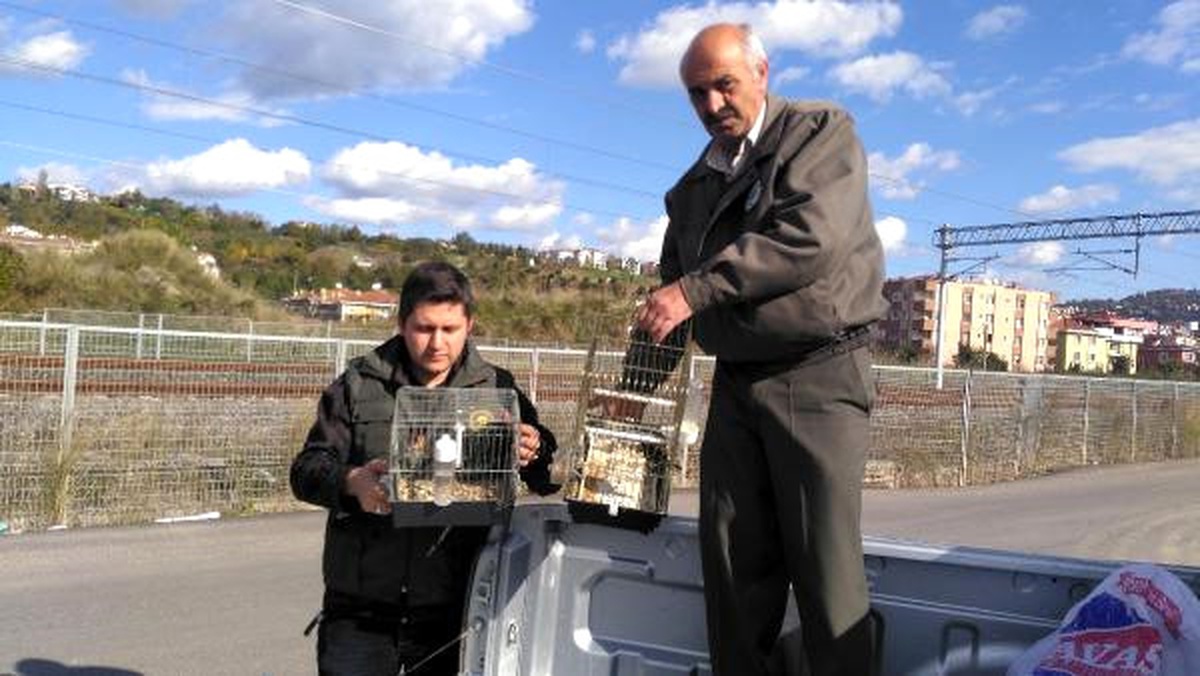 Tuzaklarla Saka Kuşu Avlarken Yakalandılar