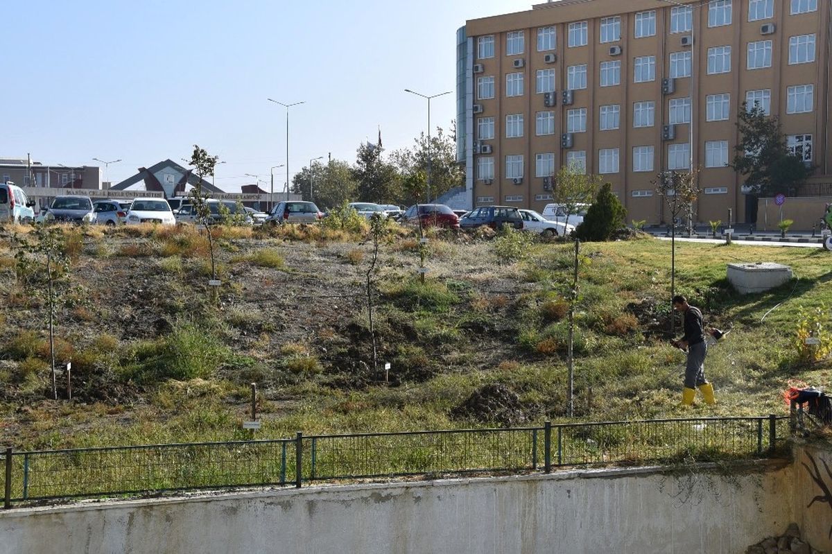 Yunusemre Belediyesinden Mcbü Tıp Fakültesi Bahçesinde Çalışma