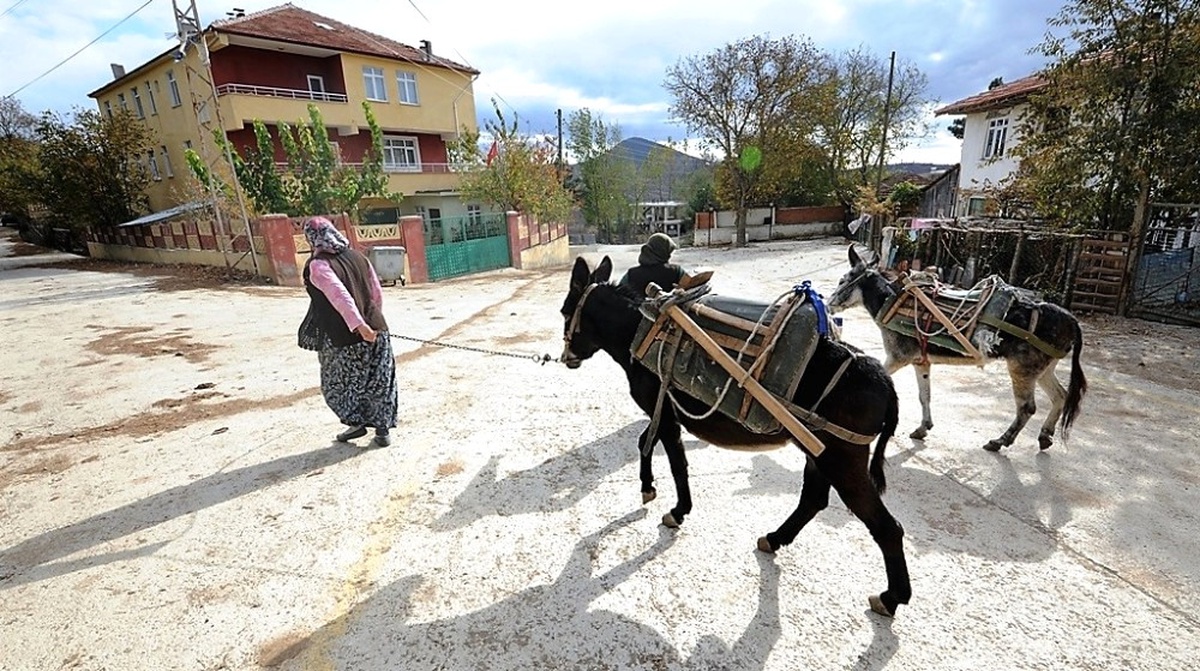 98 Yıllık Köyün Tarihi Sorunları 2 Yılda Çözüldü