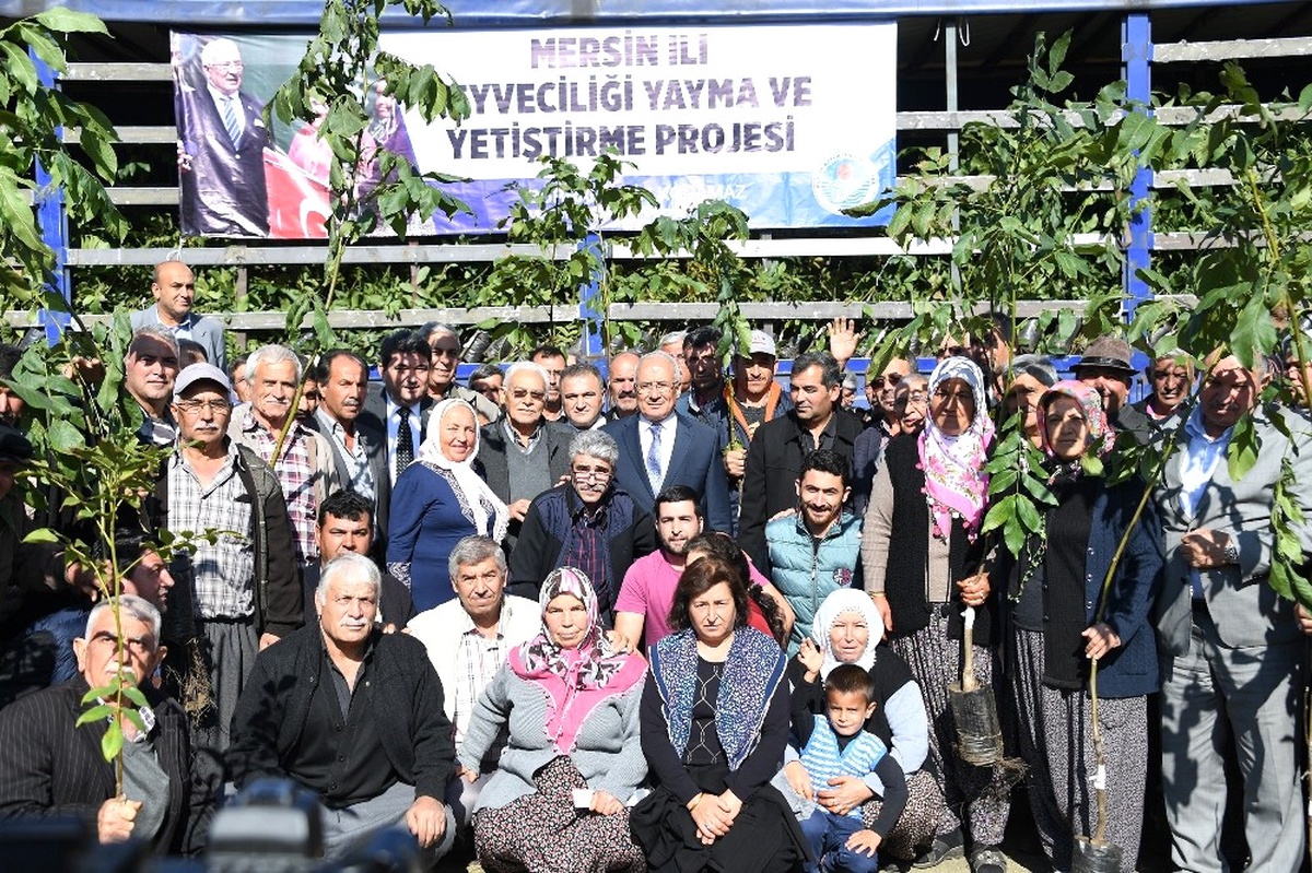 Büyükşehir\'den 14 Mahalleye 12 Bin Ceviz Fidanı