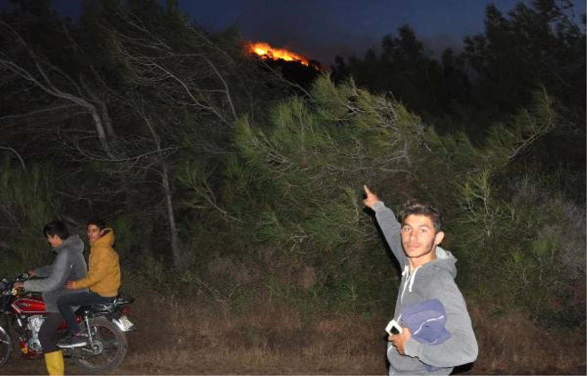 Datça\'da Orman Yangını (2)
