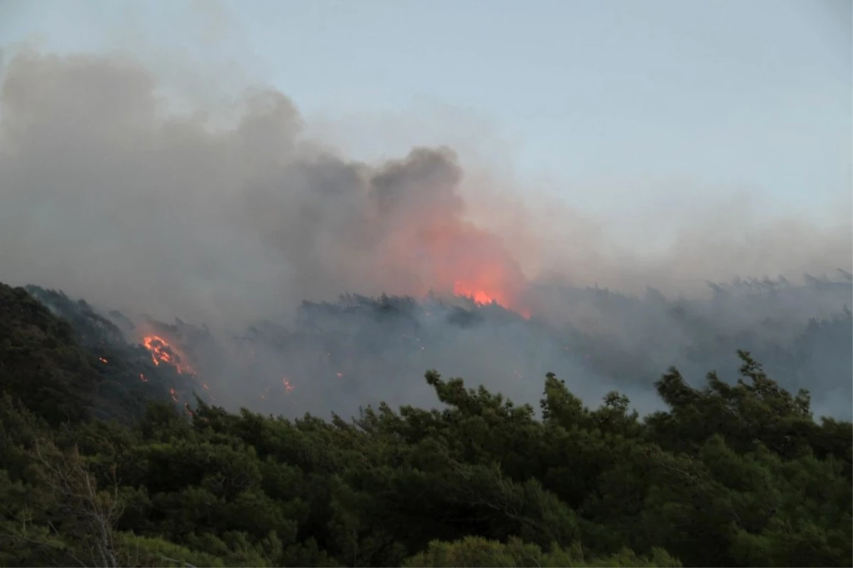 Datça\'daki Orman Yangını Devam Ediyor