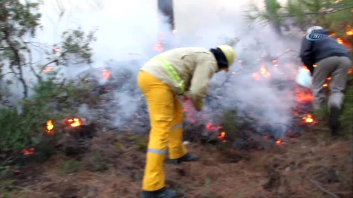 Datça\'daki Orman Yangını Devam Ediyor