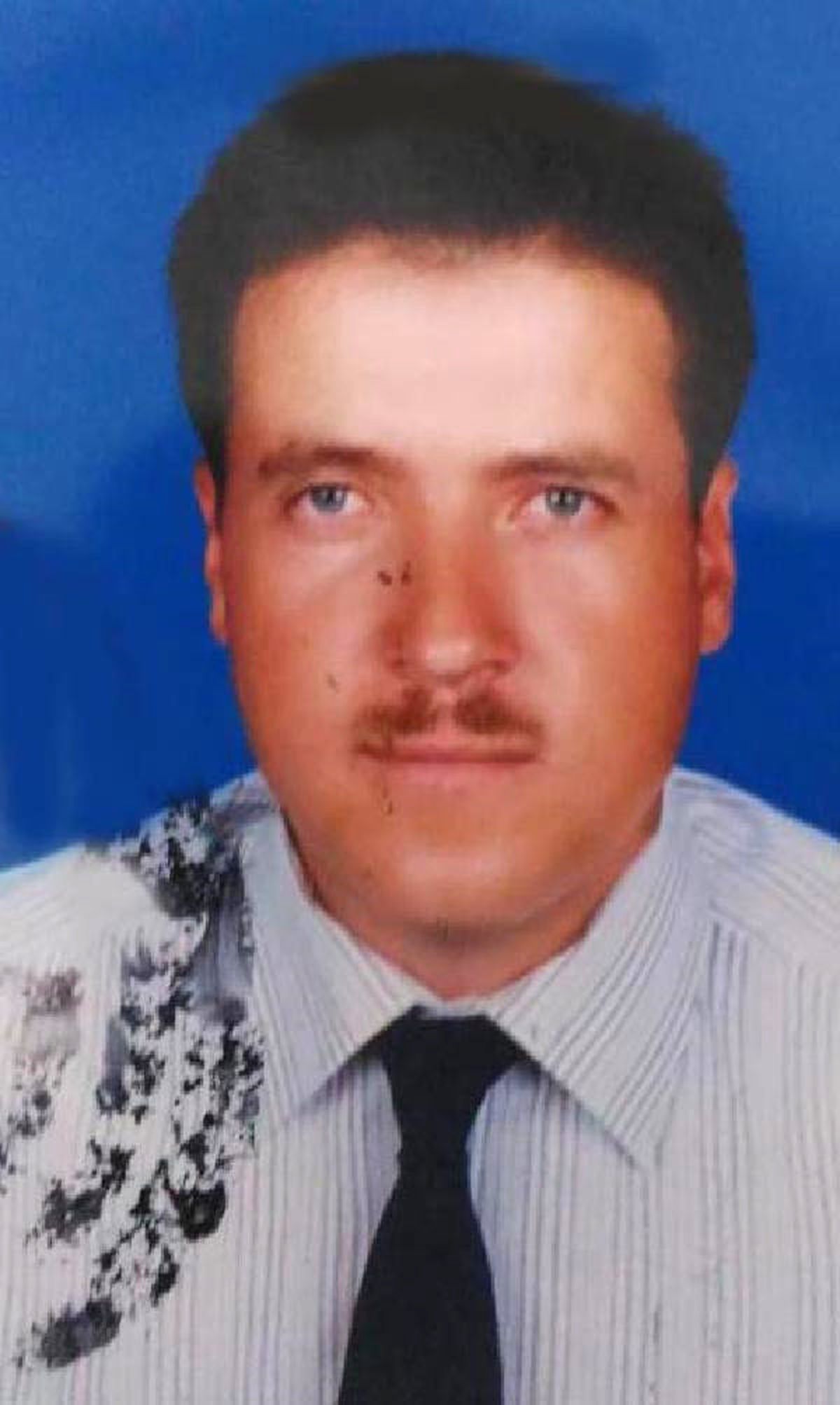 Kestane Toplarken Ağaçtan Düşüp Öldü