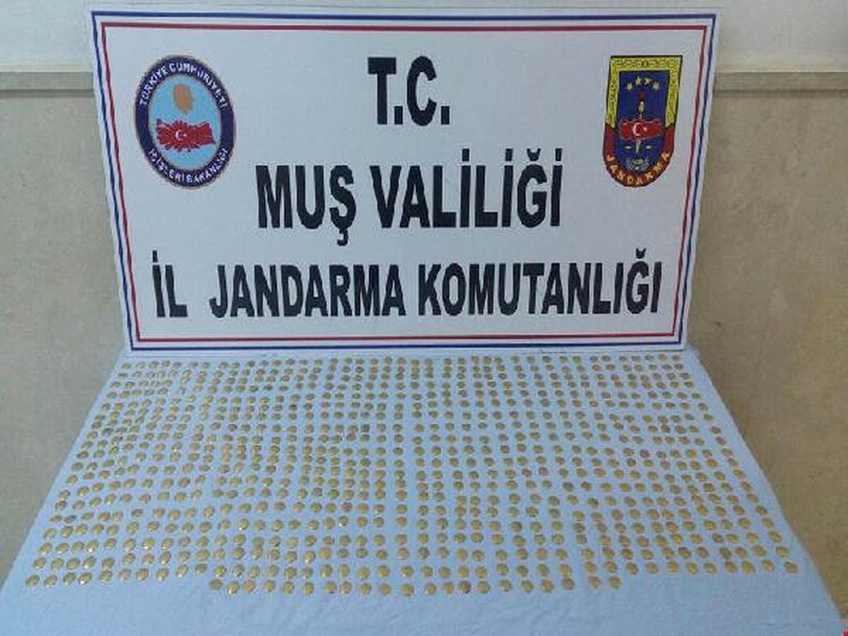 Muş\'ta Bizans Dönemine Ait 871 Altın Sikke Ele Geçirildi